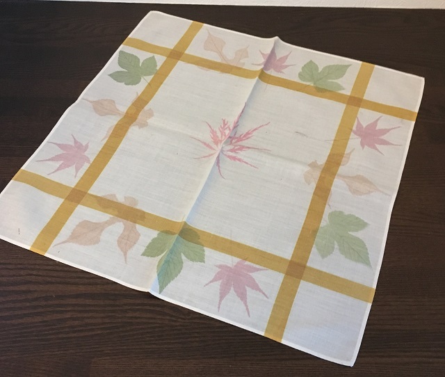 R̍K߃nJ`iʐ^̓C[Włj