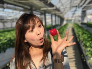 【13:30〜14:30◆いちご狩り】『人気のファミリープラン♪』こだわりの「かおりの」で究極の甘さと感動をお届け!16〜19度の糖度は一度食べてみる価値あり!※コロナ対策実施中※