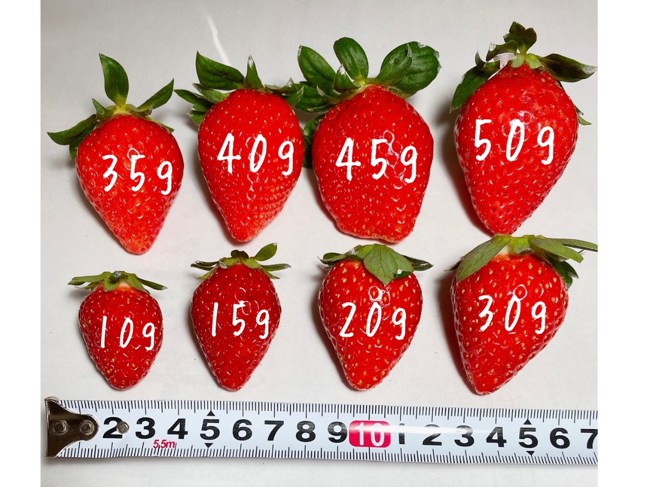 ԑтƂ̃TCYiڈjy9F00`ST`TOz͂ǂ̃TCYLxi󋵂ɂϓꍇ܂Bj