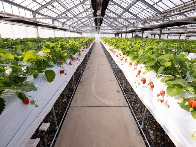 通路は全面コンクリートなので安心です!