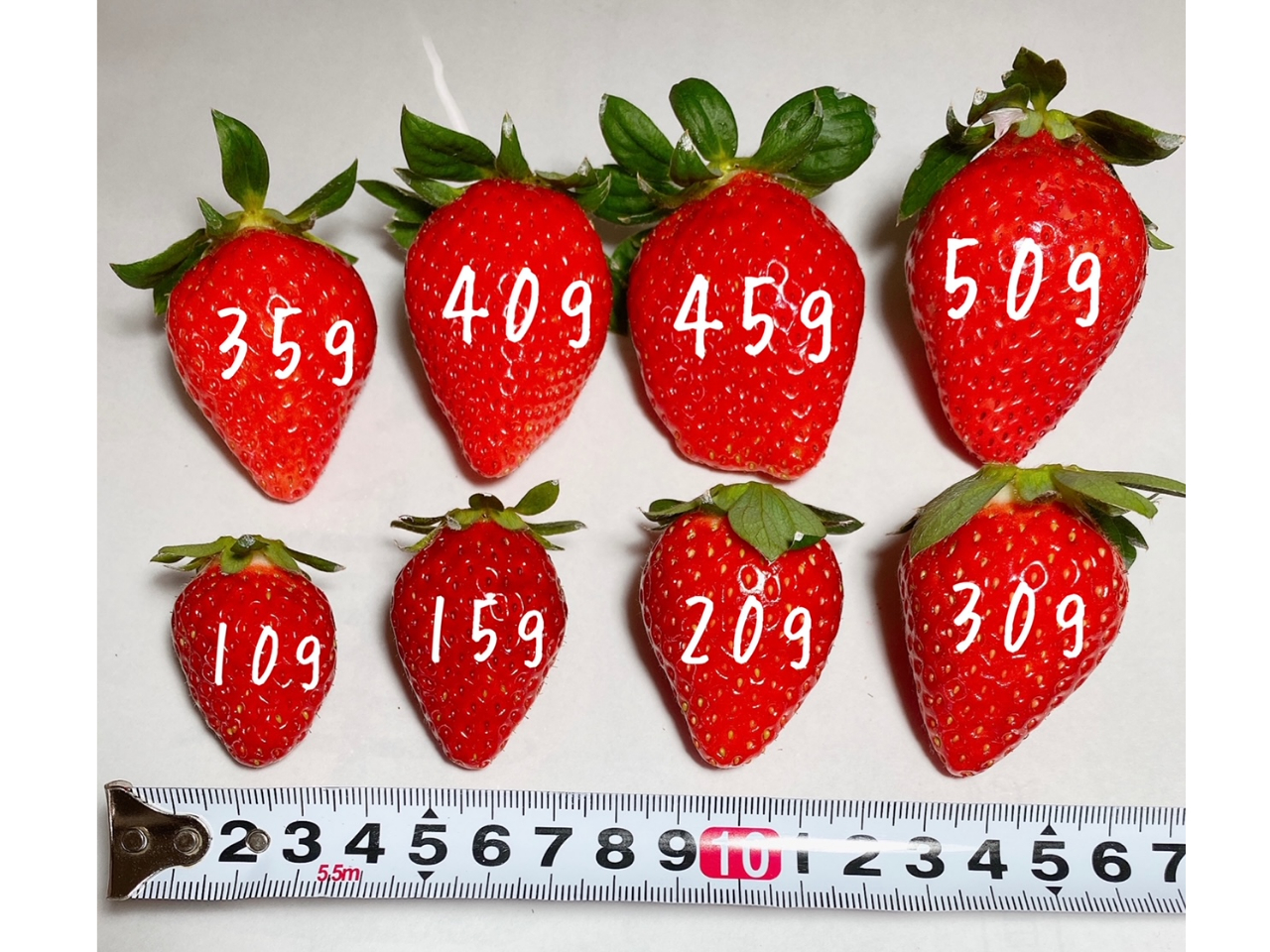 ԑтƂ̃TCYiڈjyPQFOO`RO`RTzi󋵂ɂϓꍇ܂Bj