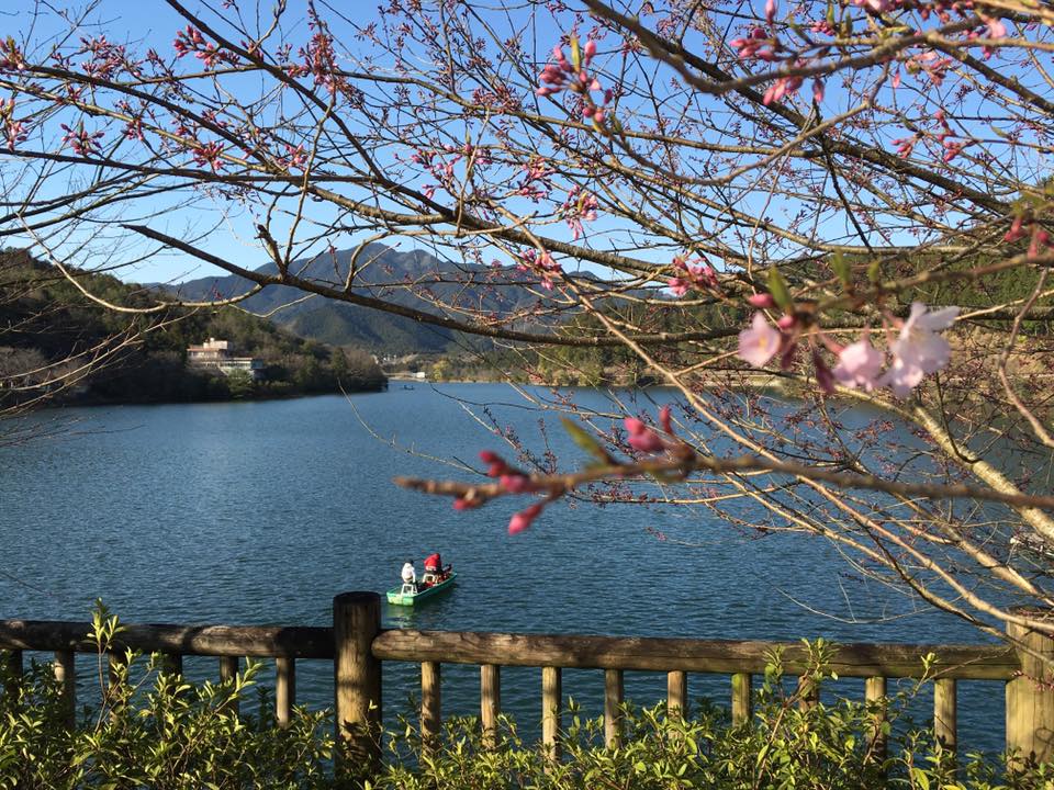津風呂湖 津風呂湖：近畿エリア | おでかけガイド：JRおでかけネット