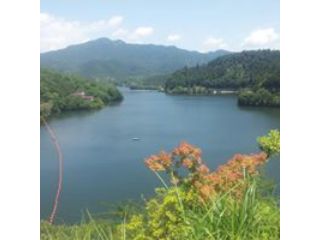 津風呂湖クルージング ならで唯一のクルージング 津風呂湖の大自然を味わおう 津風呂湖観光株式会社 じゃらん遊び体験 津風呂湖クルージング ならで唯一のクルージング 津風呂湖の大自然を味わおう 津風呂湖観光株式会社 じゃらん遊び体験