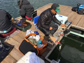 大阪から車で1時間30分 ワカサギ釣り体験 竿レンタル エサ付 日本最南端でワカサギ釣りを楽しもう 津風呂湖観光株式会社 じゃらん遊び体験