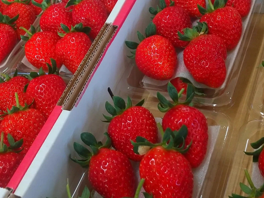 販売もしております。