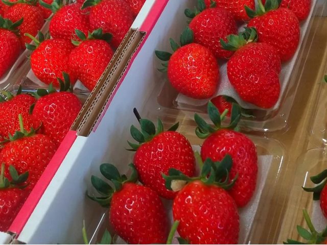 販売もしております。