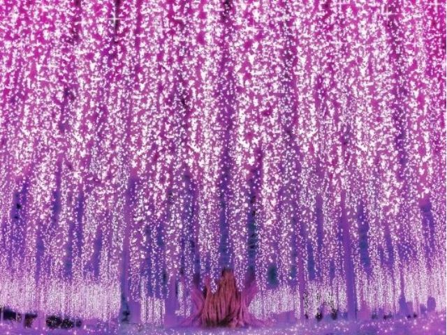 松戸発 あしかがフラワーパーク ふじのはな物語 大藤まつり22 幻想的な350本以上の藤の花ライトアップ観賞と人気の 佐野プレミアムアウトレット でお買い物日帰り 株式会社 アップオン じゃらん遊び体験 松戸発 あしかがフラワーパーク ふじのはな物語 大藤まつり22 幻想的な350本以上の藤の花ライトアップ観賞と人気の 佐野プレミアムアウトレット でお買い物日帰り 株式会社 アップオン じゃらん遊び体験