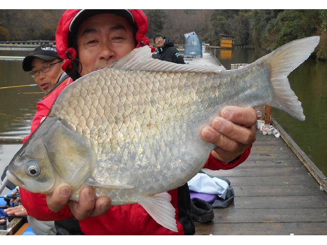 7時 16時までの1日コース ヘラブナ釣り体験 最大52 8cmの大物も 釣堀センター菊水 じゃらん遊び体験