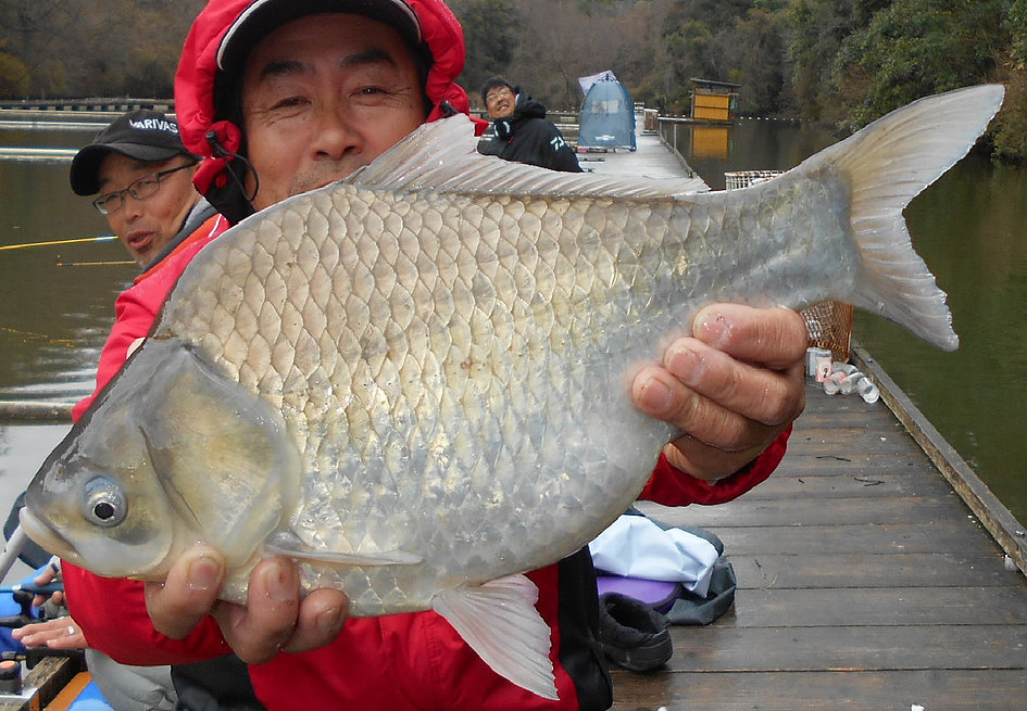 釣り好きも大満足の大物です!!