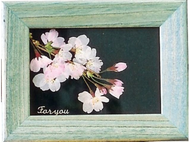 本格的に押し花体験をしてみたい方向け 自然の木 草 花を使った押し花額の制作プラン 海老名自然工房 じゃらん遊び体験 本格的に押し花体験をしてみたい方向け 自然の木 草 花を使った押し花額の制作プラン 海老名自然工房 じゃらん遊び体験