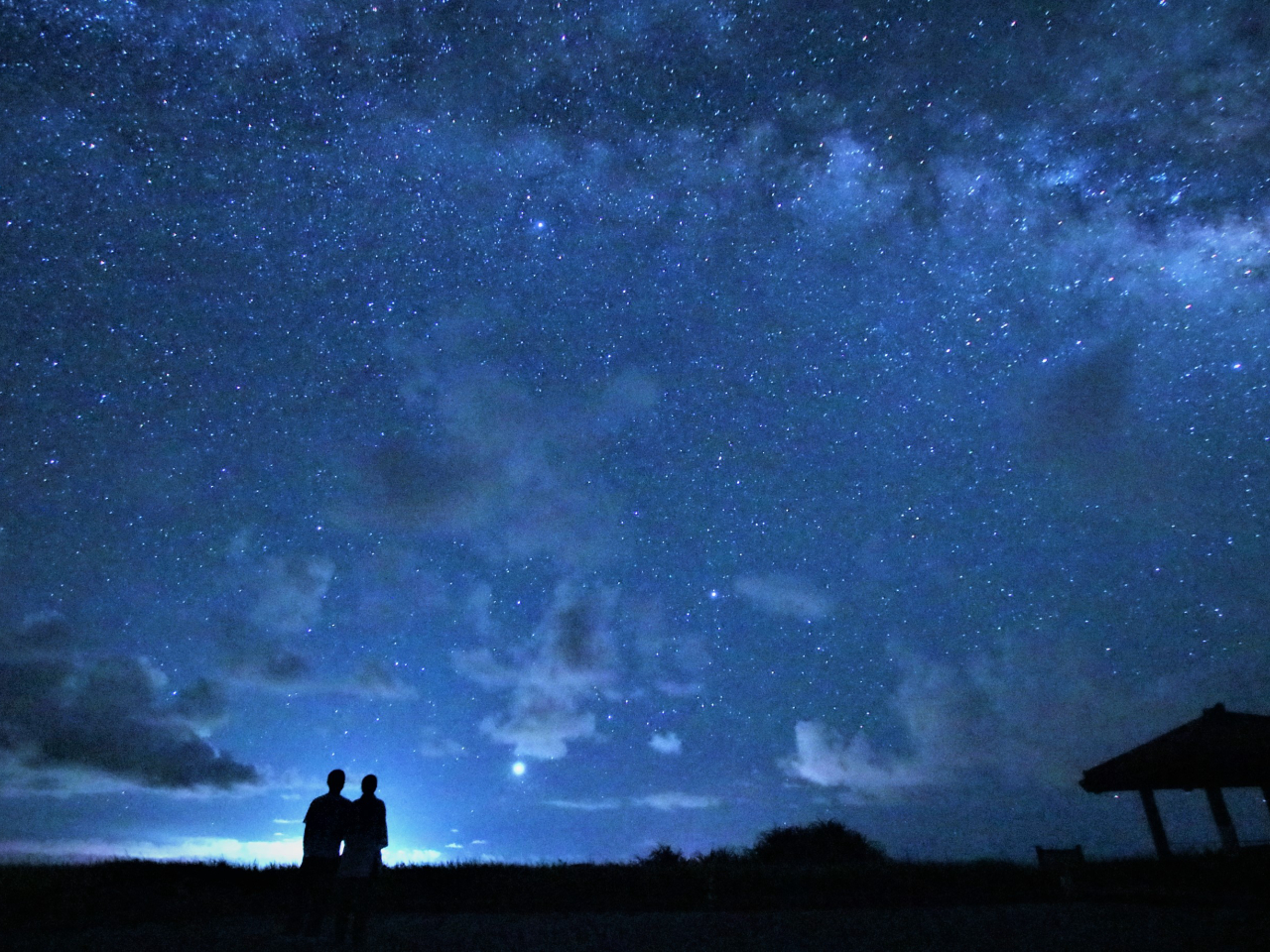 星空保護区×世界遺産の西表島の夜を探検「ナイトツアー」通年。見た