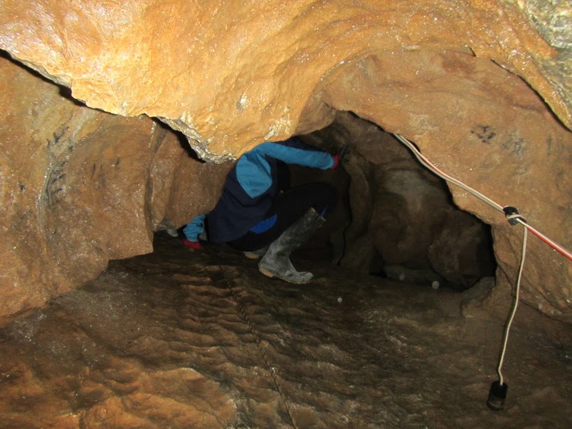 oInCnĈ悤ȎpłȂƐi߂ȂƂB