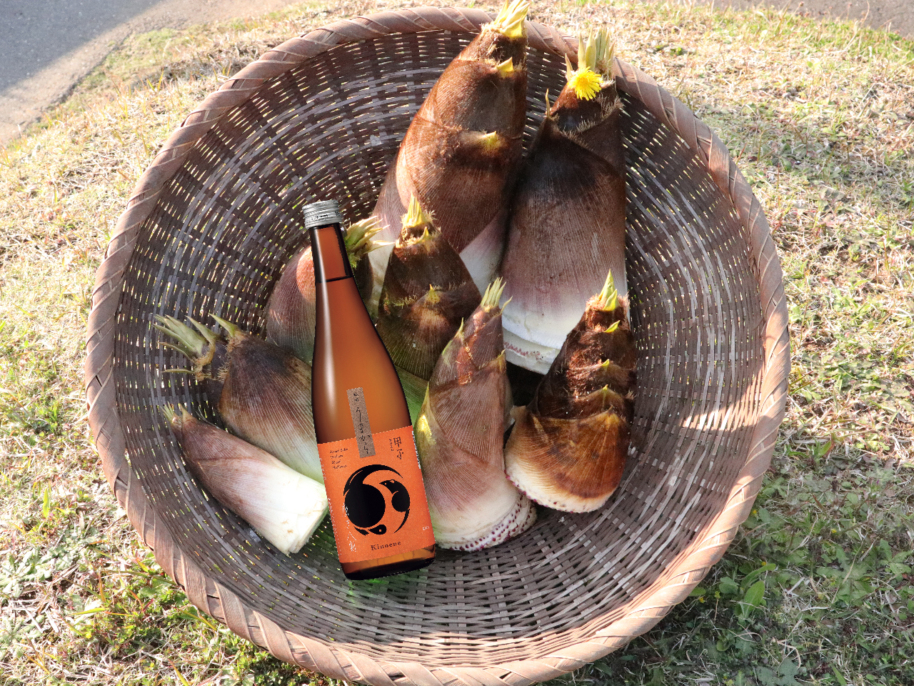 酒々井の自然を感じながら『タケノコ掘り体験』2026