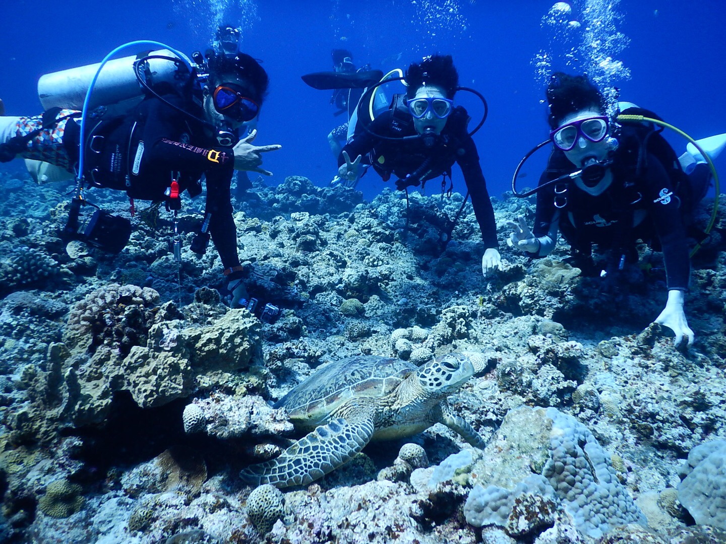 BePVbgT[rXTŎvł̎ʐ^