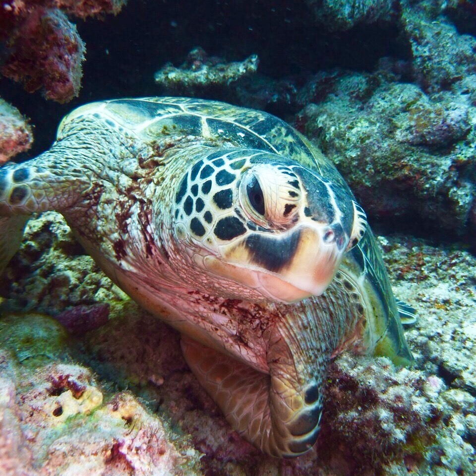 K͓X܂̂ߏl̂ƂAƃE~Kώ@łႢ܂I