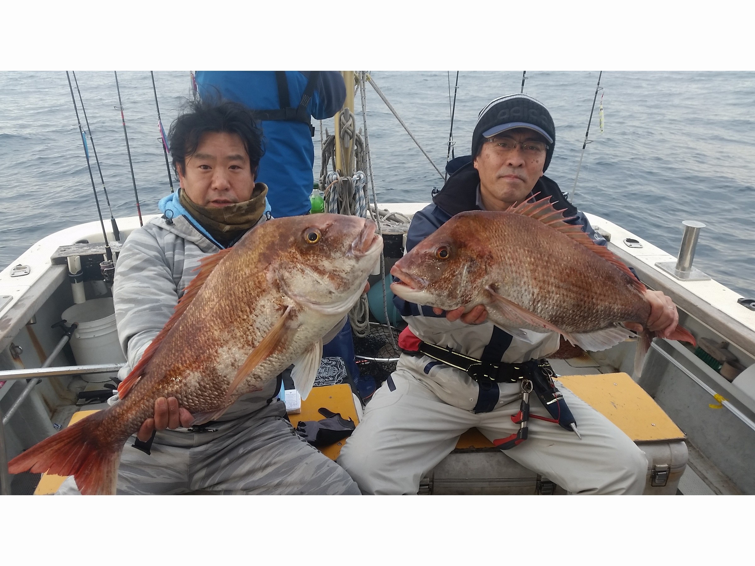 【乗合】マダイ＆サワラ狙いの船釣りプラン♪高速艇フィッシングクルーザーで初心者の...