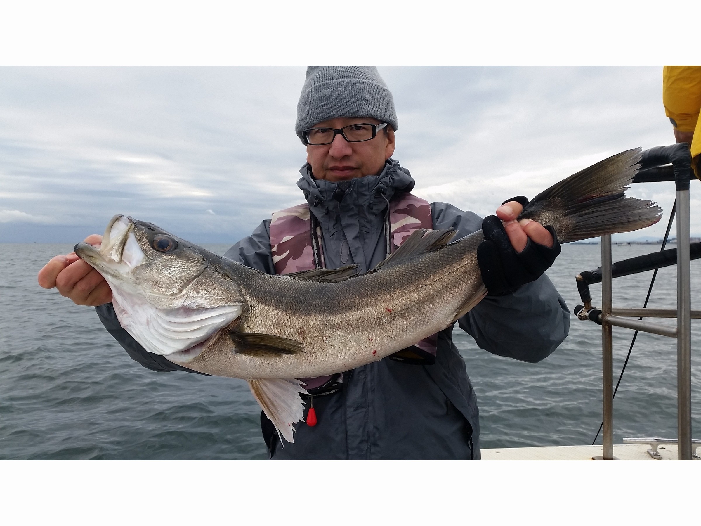 【乗合】シーバス狙いの船釣りプラン♪高速艇フィッシングクルーザーで初心者の方大歓...