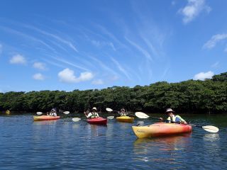 ジャングルの中もカヤックで楽しめます♪