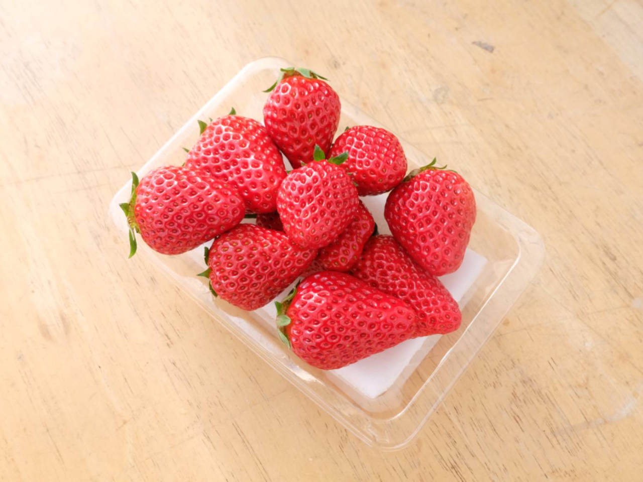 npbNPP 500~Ŕ̔Ă܂IɌ肪܂̂ł́A\肢܂B