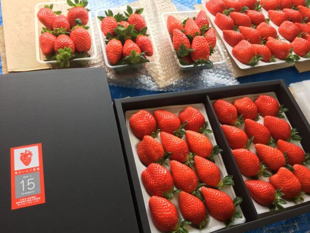 お土産用も販売しております♪