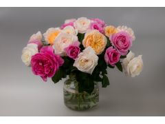 薔薇と一言にいっても様々な咲き方や香りがあります。日本国内だけでも1000種類以上の薔薇が流通しているといわれています