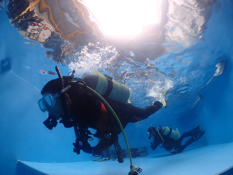 Ѓv[炶AԂɕ߂ꂸAKł邩SāACmKŊy߂܂B