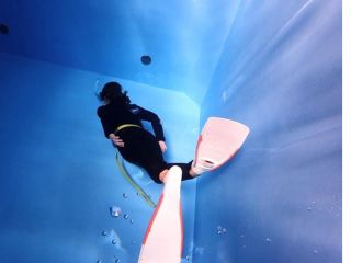 温水プールなので、年中昼夜問わずトレーニングしていただけます。