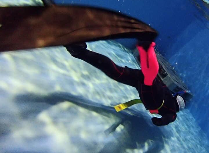 ロングフィンもご利用頂けます。サイズは限られますが、レンタルもご用意。