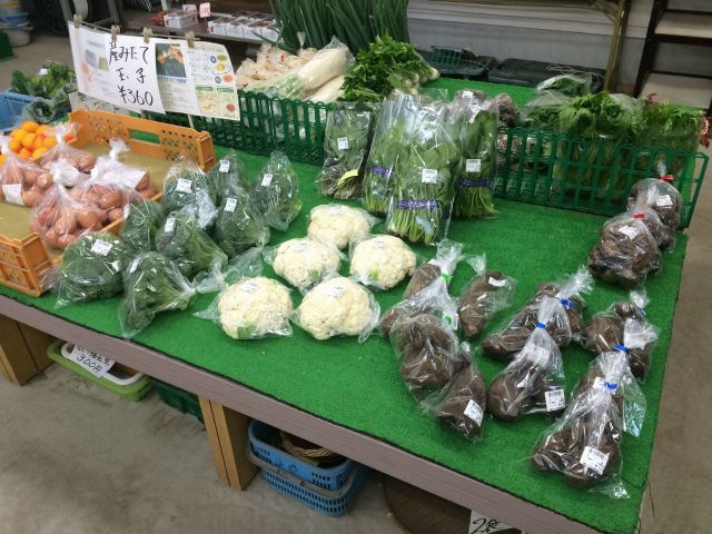 直売所ではお野菜も販売中です!