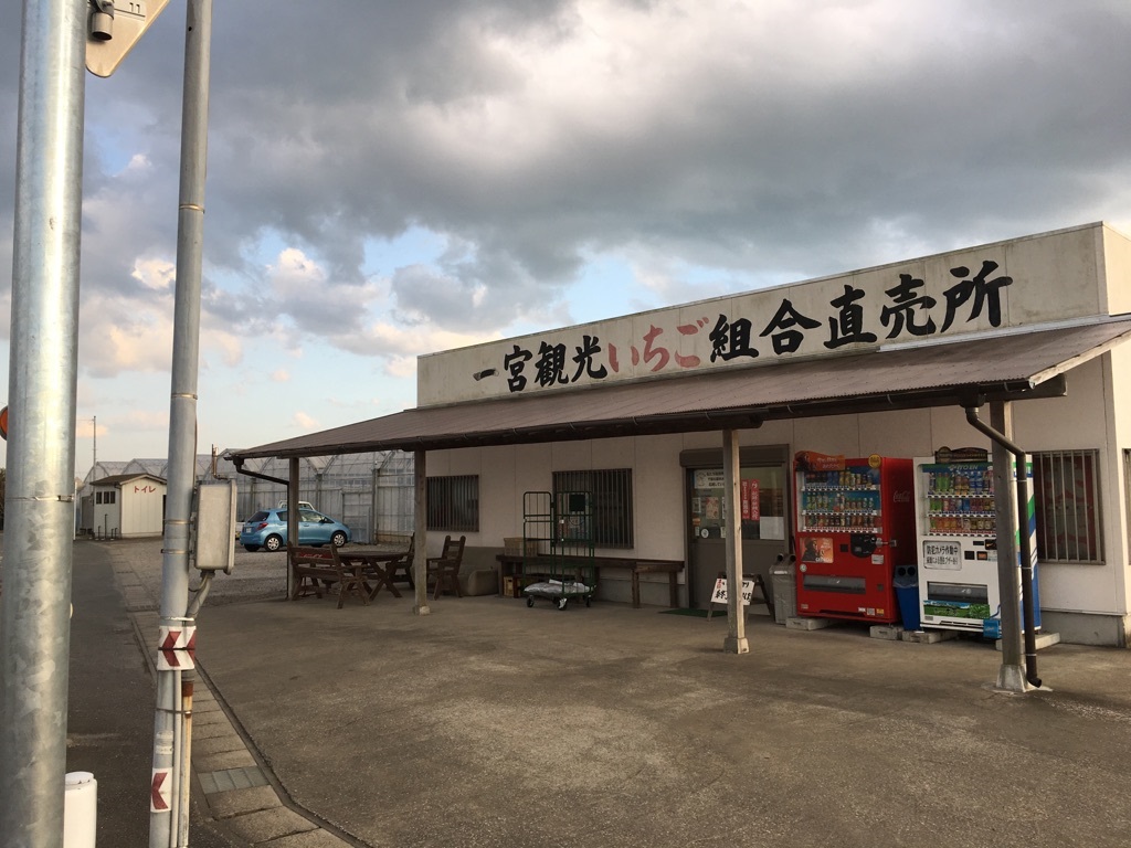 〈2027年〉【1月2日~4月6日】\練乳&チョコかけ放題/【高設栽培&土耕栽培...