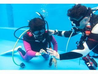 ダイビングをはじめたいけど不安な人、海中を手軽に見てみたい人は海音〜kanon〜の体験ダイビングがおすすめです!