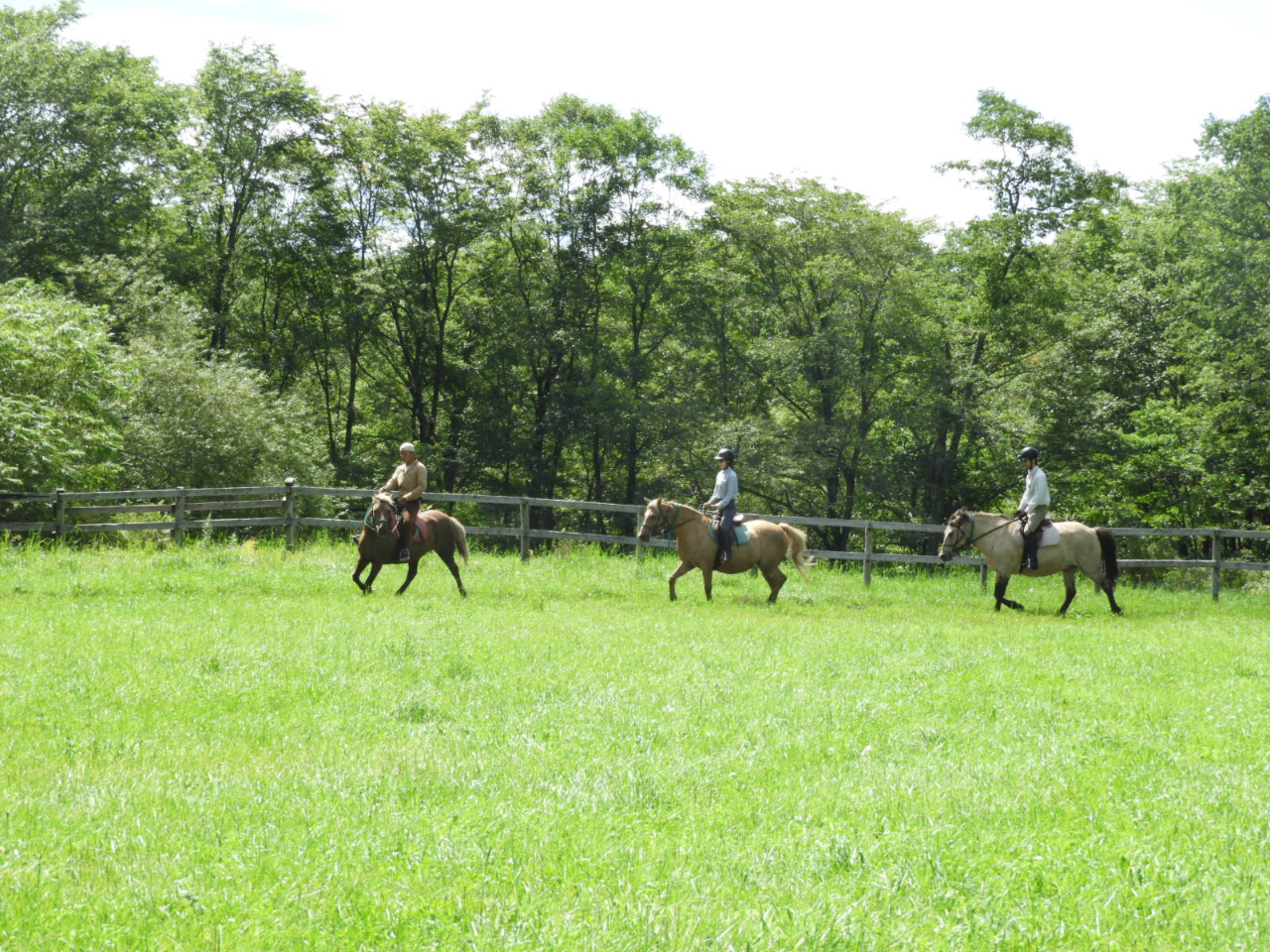 【外乗30分付き】初心者コース【120分コース】