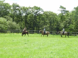 自然に囲まれた広い馬場で、乗馬の基礎を体験していただきます。四季折々の美しい風景も楽しめます。