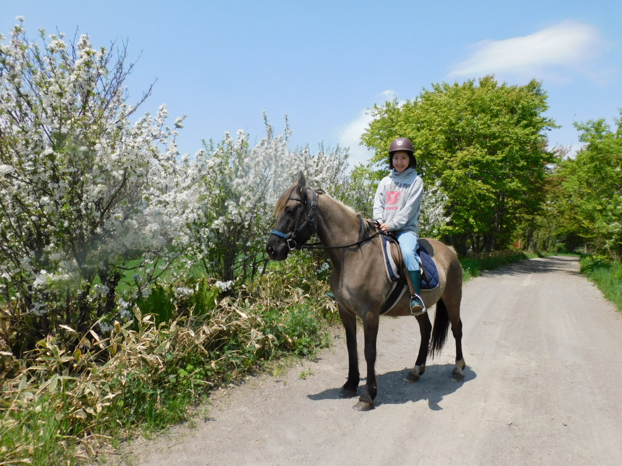 ̎lG܁X̔Ry݂ȂĂ܂B5΍AԂ̋G߂n܂܂BnR[X̒ɃXYR炫܂B