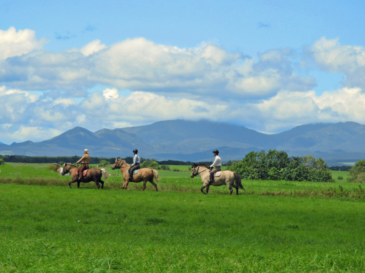 外乗をたっぷり!外乗Bコース【120分コース】