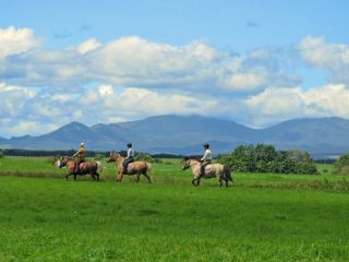 北海道らしい雄大な風景の中トレッキングをたっぷりと。
