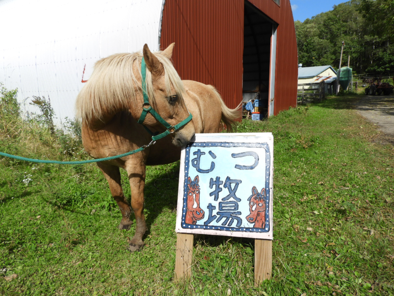 Ŕ́AcSEij̎`ɂ́B