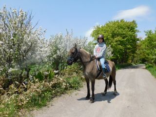 道東の美しい自然の風景も楽しみながら乗っていただけます