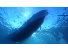 水中から見上げると光がとってもきれいです!ダイビングならではの体験!
