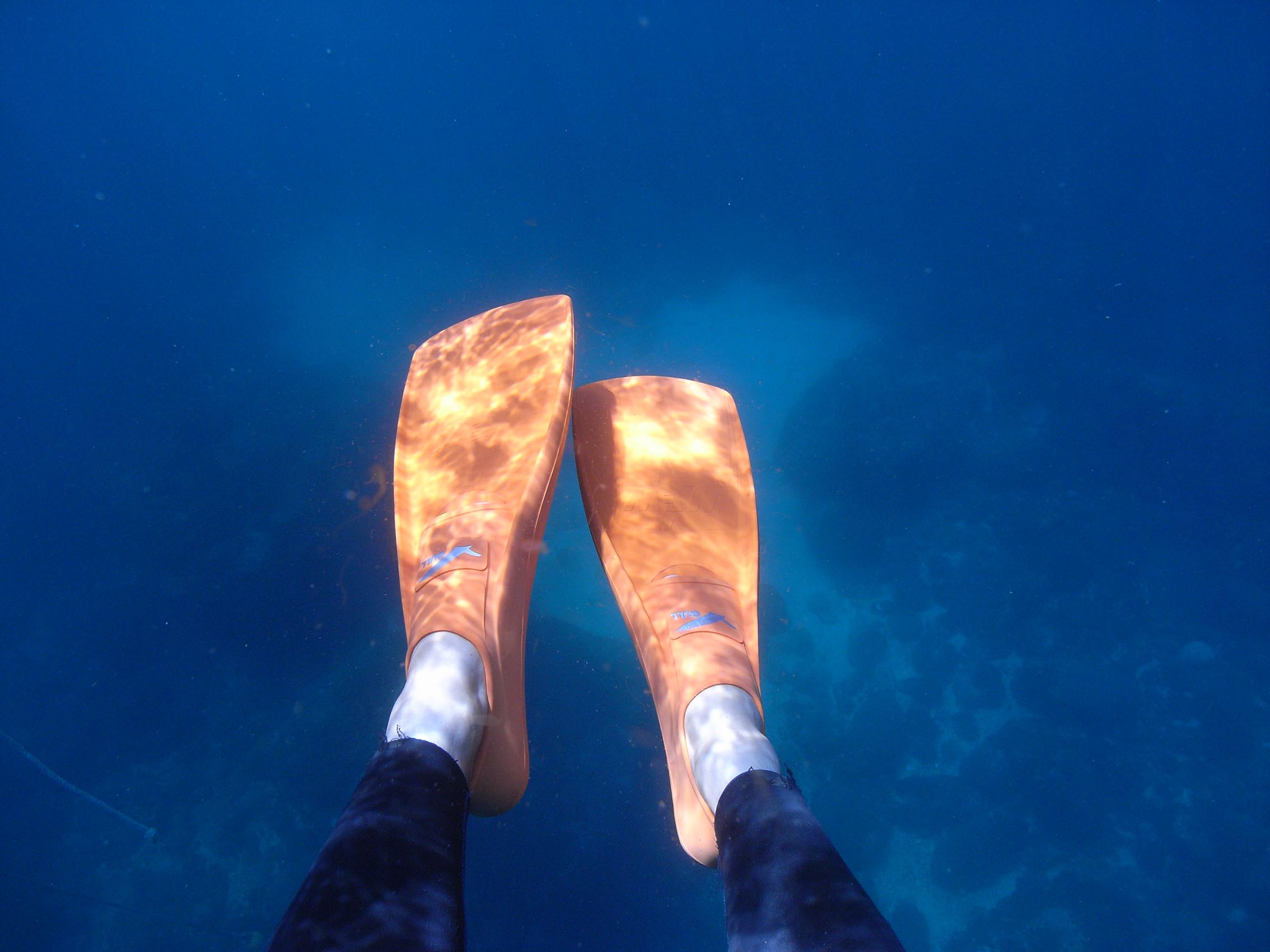 水面から光が気持ちいい♪