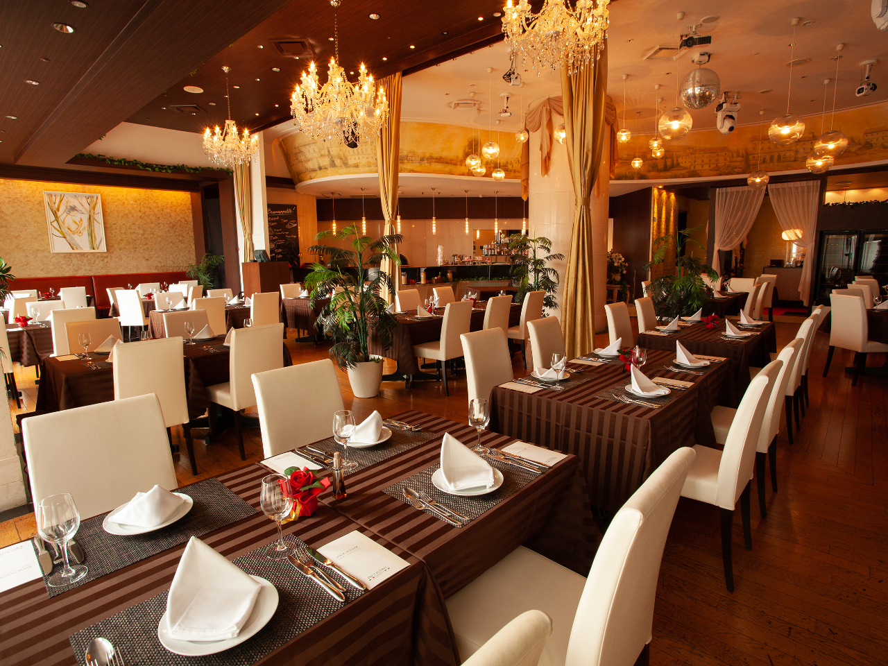 �����V��Ɏ��R�̌����~�蒍�����邢�X��