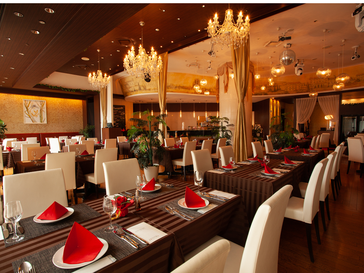 �����V��Ɏ��R�̌����~�蒍�����邢�X��