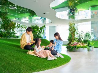 晴れでも雨でも天候に左右されない室内ピクニック