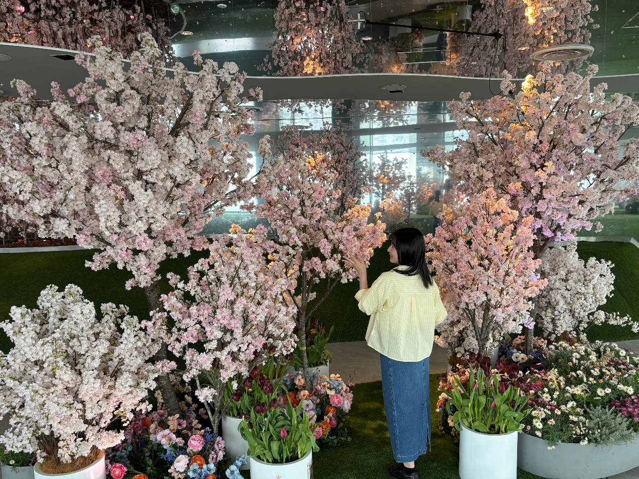 �W�]��ł��Ԍ��C���􂳂���܂�`5/10�܂�