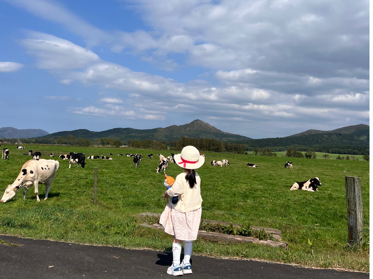 qĂ鋍͖q𖈓ړĂ܂Bԋ߂Ō鎖܂B