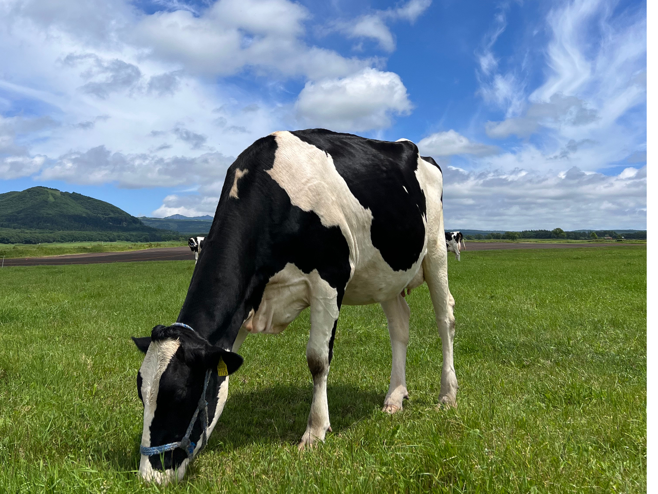 񂽂͂̂т̂ёőHׂĂ܂B