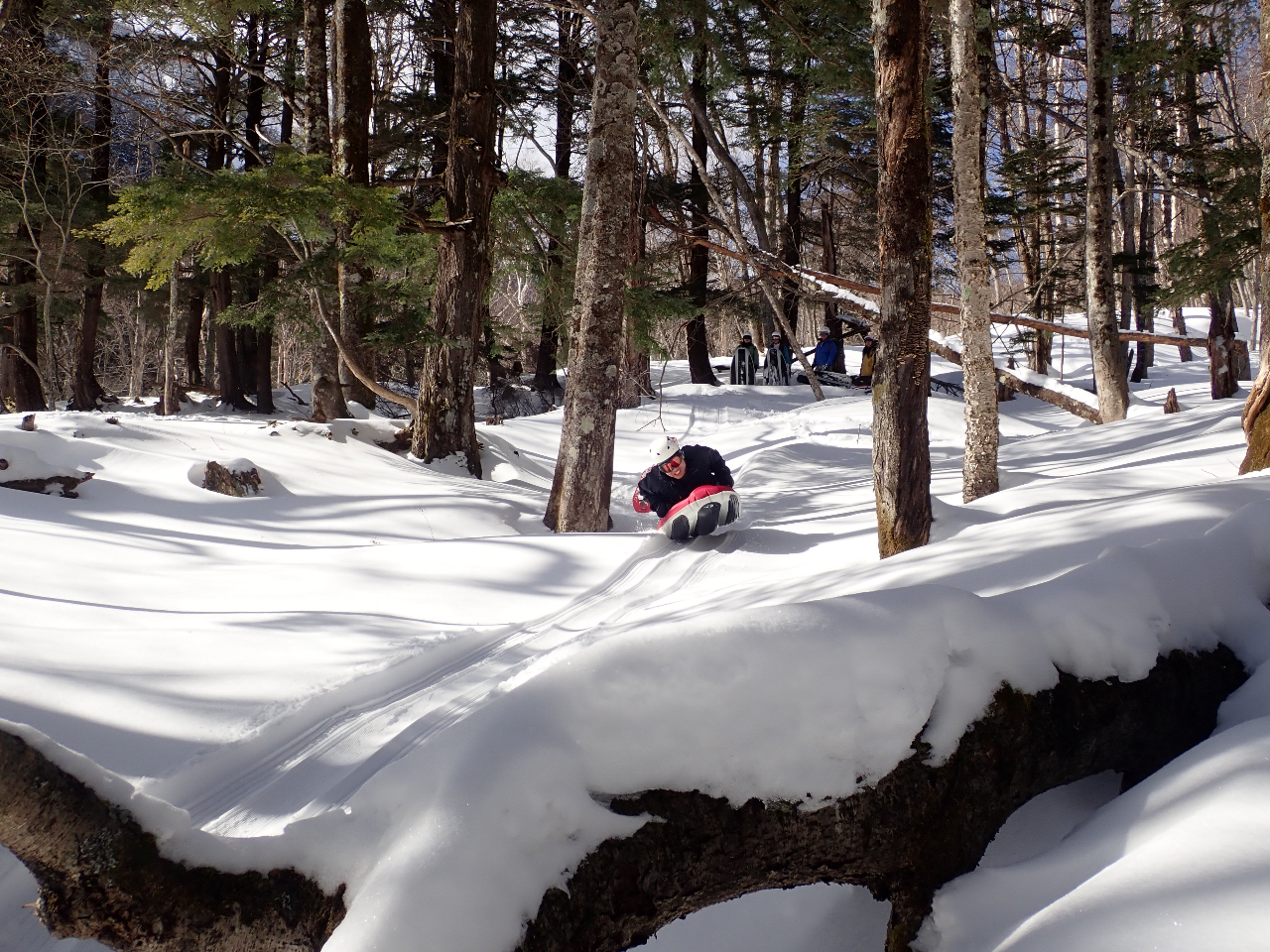 �n�`�̋N���̌��ɂ߂��n���n���E�h�L�h�L�I�I�I�ǂ�Ȋ���ɂȂ�ł��傤���E�E�E�B