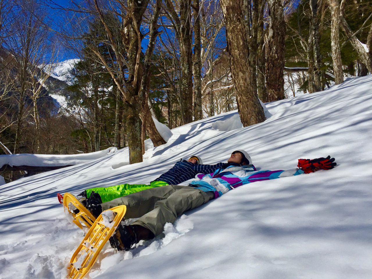 ������񊊂邾���łȂ��A��̏�ɂ��Q�]�����Ă݂܂��傤�B