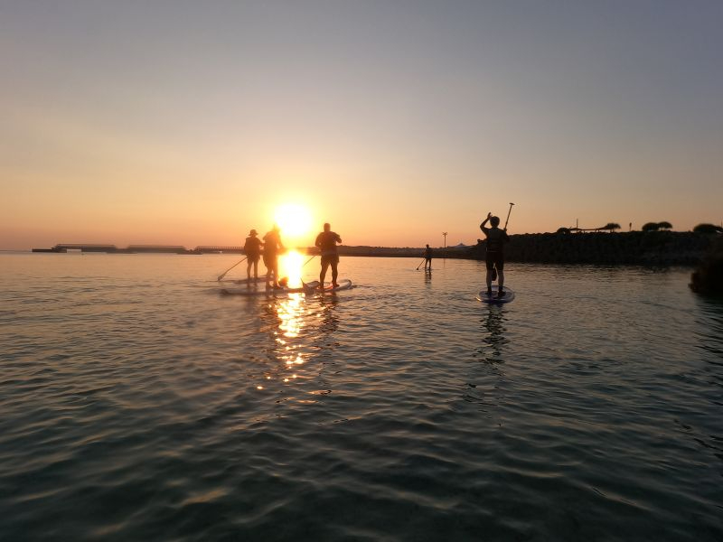 �[�����C�ɒ��݂܂��I