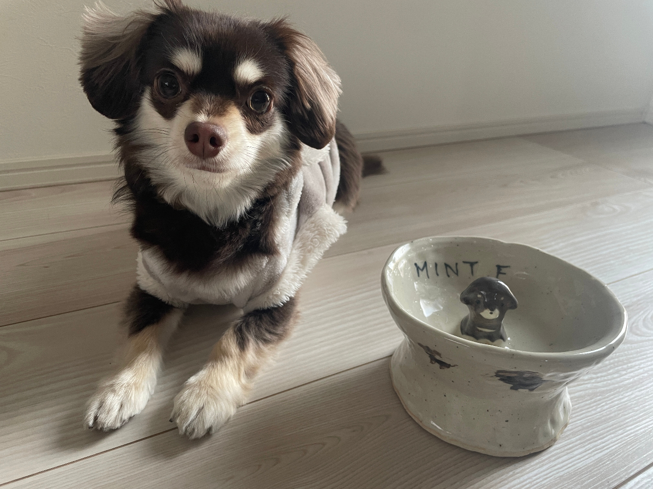 �I�u�W�F�t���͑��H���h�~�ɂ��B